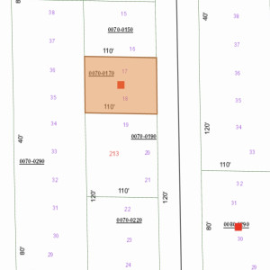 .20 Acre Buildable Lot Putnam County, Florida